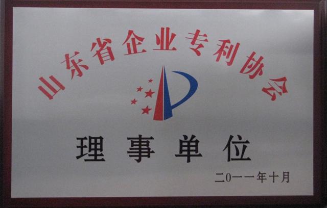 Council Member of Shandong Enterprises Patent Association